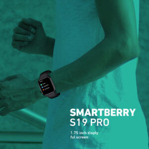 Smartberry S19 PRO