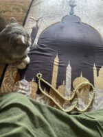 مصلية مبطنة مانعة للانزلاق كبيرة الحجم - راحة للركب والظهر في الصلاة