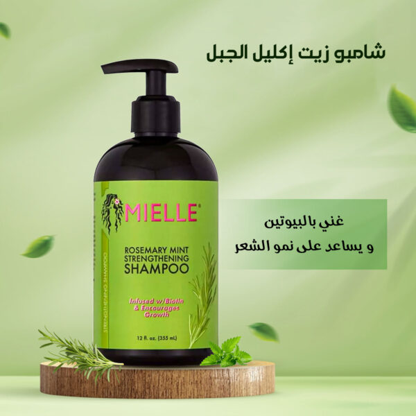 شامبو تقوية النعناع روزماري ، خالٍ - الكبريتات والبارابين
