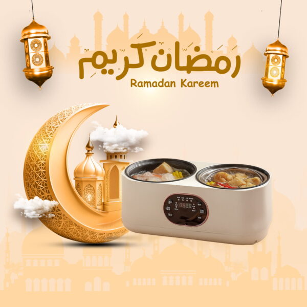 جهاز الطبخ المزدوج الكهربائي دينكس بضمان عامين