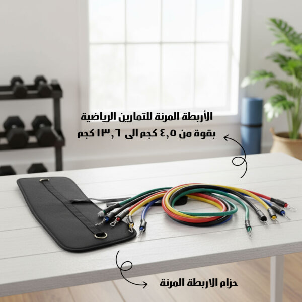 عرض الاربطة المرنة مع حزام الظهر